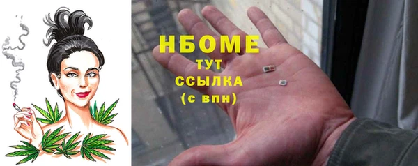 прущие грибы Алзамай