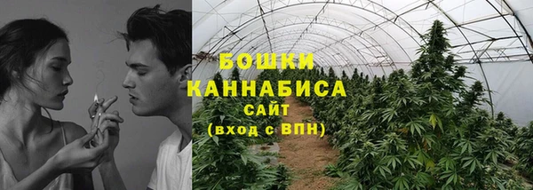 прущие грибы Алзамай