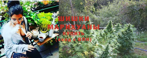 прущие грибы Алзамай