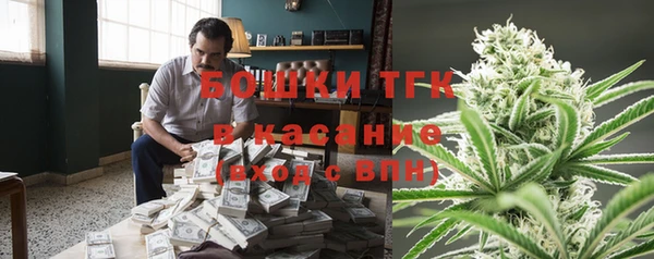 прущие грибы Алзамай