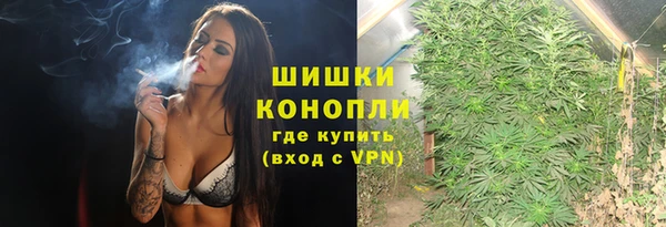 прущие грибы Алзамай