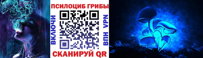 площадка какой сайт  Лагань  мега ссылки  Псилоцибиновые грибы Magic Shrooms  купить наркотик 